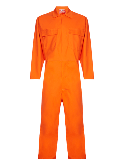 Picture of FR Coverall - Made with Zeus - Orange