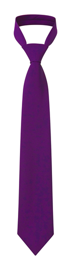 Picture of Plain Tie - Purple