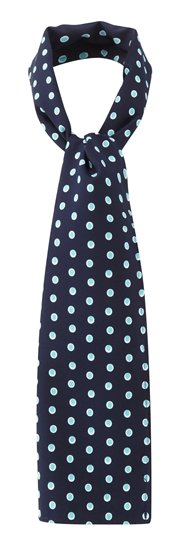 Picture of Long Scarf - Navy/Aqua Ella Print