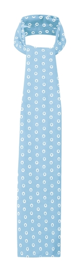 Picture of Long Scarf - Light Blue/White Ella Print