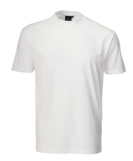 Picture of Heavyweight Classic T-shirt - White