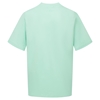 Picture of Male Notch Neck Tunic - Eau De Nil