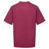 Picture of Male Notch Neck Tunic - Garnet